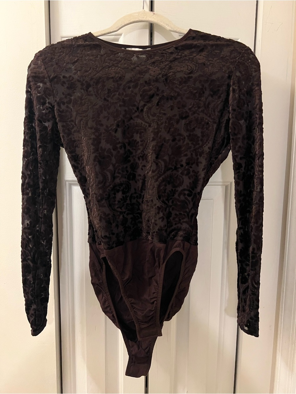 Ann Taylor Velvet Burnout Long-Sleeve Bodysuit - Brown